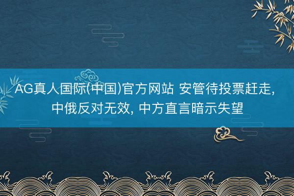 AG真人国际(中国)官方网站 安管待投票赶走, 中俄反对无效, 中方直言暗示失望
