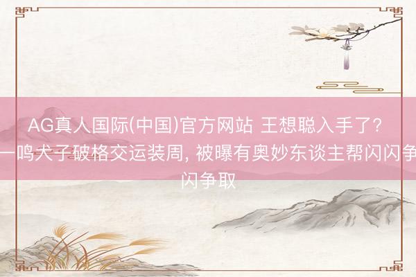 AG真人国际(中国)官方网站 王想聪入手了? 黄一鸣犬子破格交运装周, 被曝有奥妙东谈主帮闪闪争取
