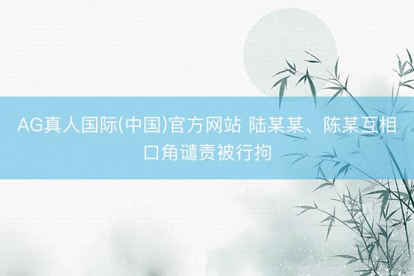 AG真人国际(中国)官方网站 陆某某、陈某互相口角谴责被行拘