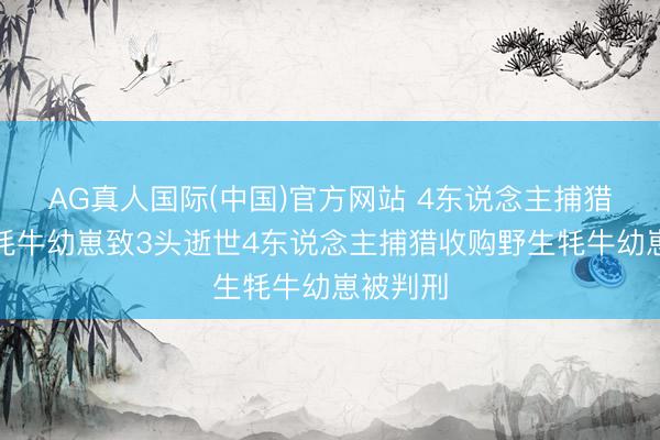 AG真人国际(中国)官方网站 4东说念主捕猎收购野牦牛幼崽致3头逝世4东说念主捕猎收购野生牦牛幼崽被判刑